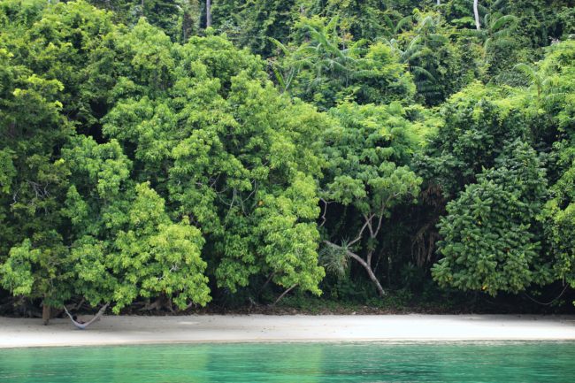 strand pulau gaya