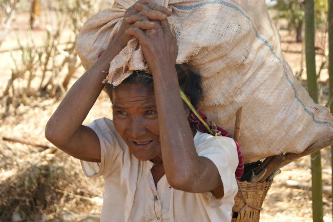 frau myanmar