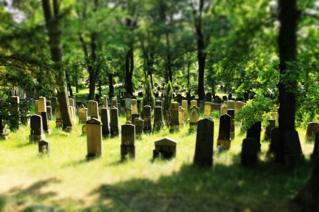 Jüdischer Friedhof Potsdam