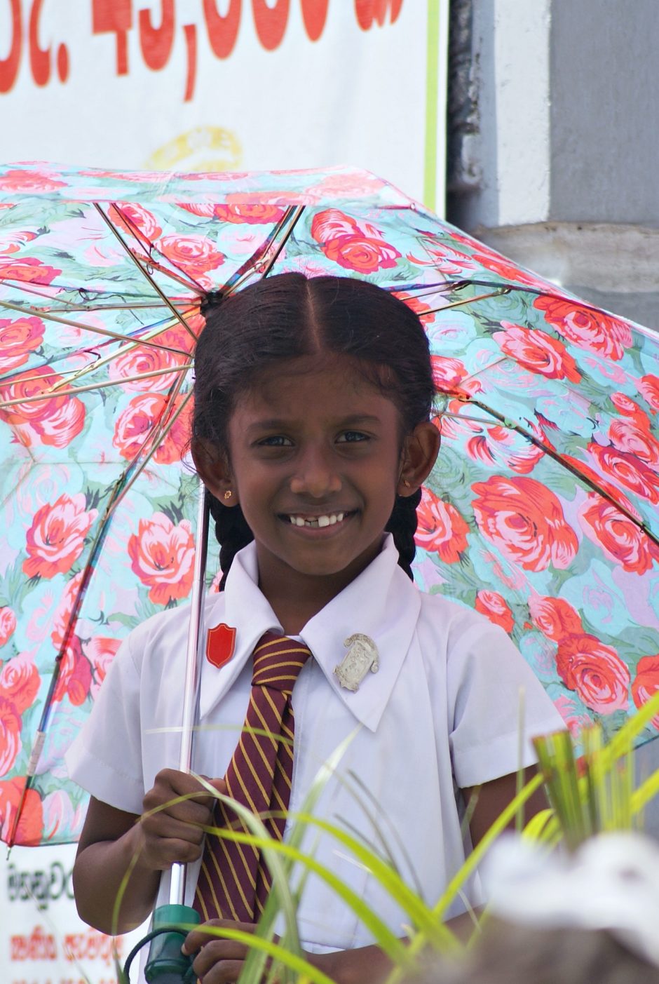 Rundreise Sri Lanka Fazit Gedanken, Inspiration, Bilder, travelcats