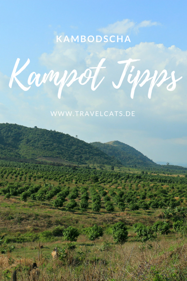 kampot tipps