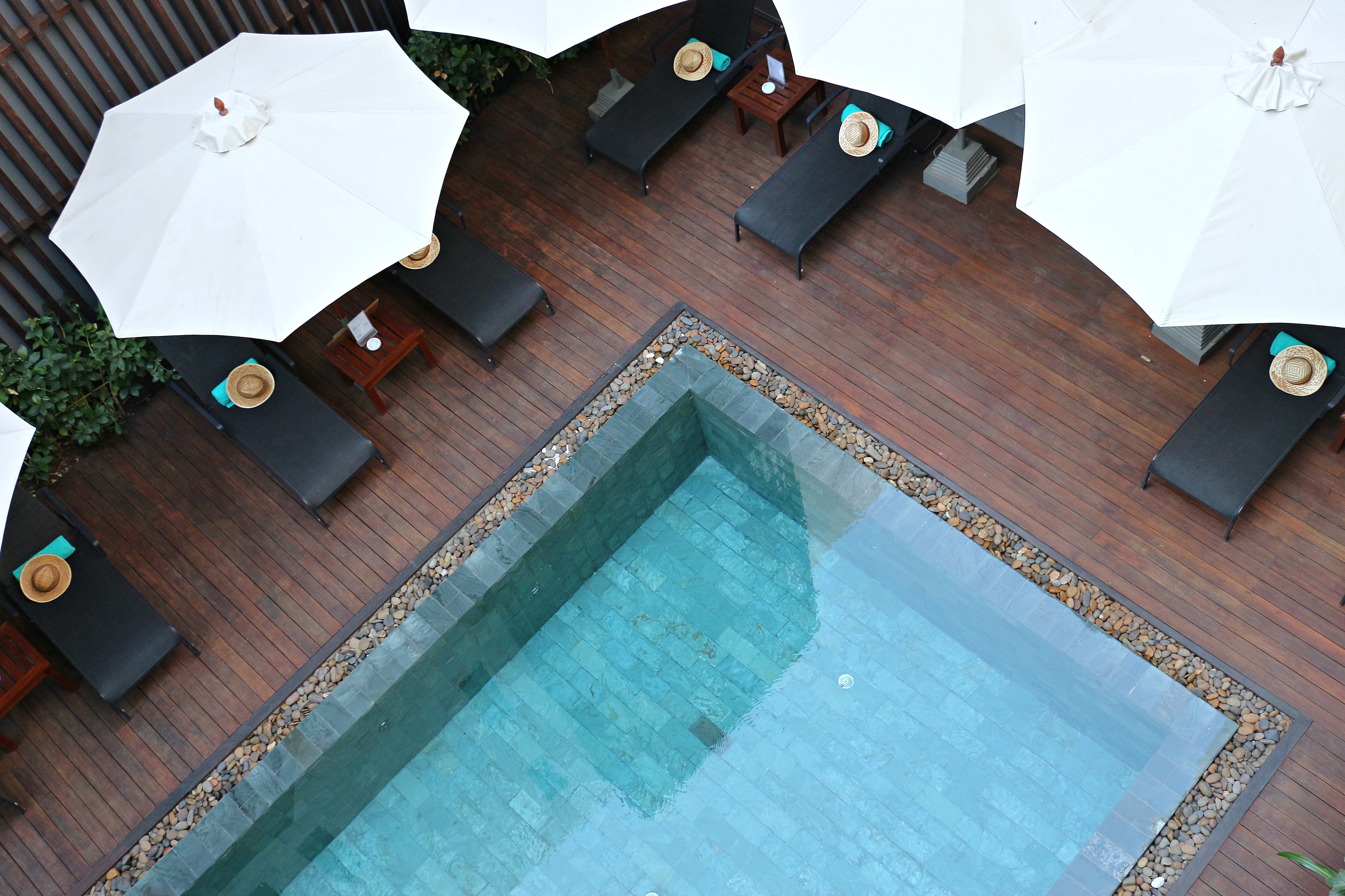 aviary hotel siem reap