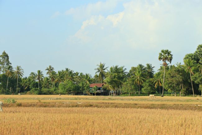 kampot umgebung