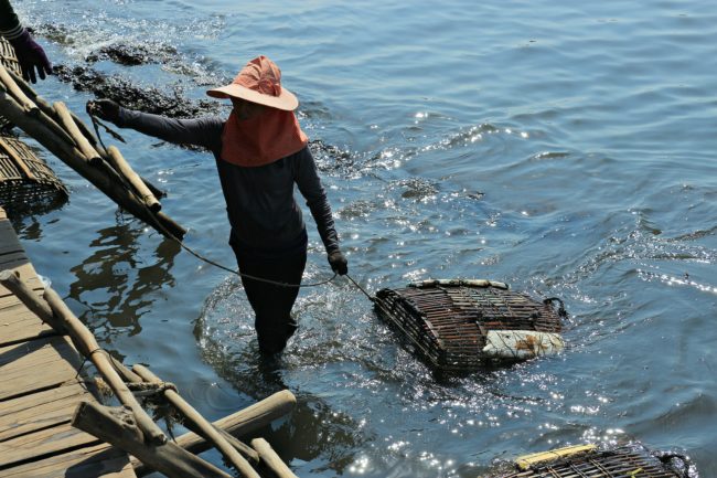 crab market kep