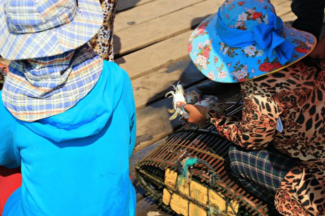 crab market kep