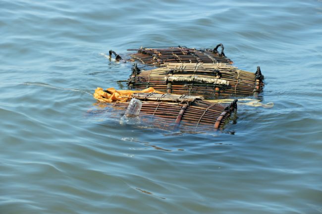 crab market kep