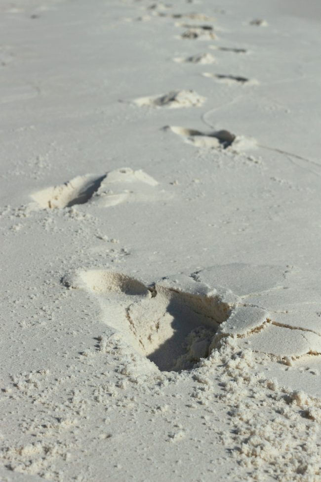 koh rong strand