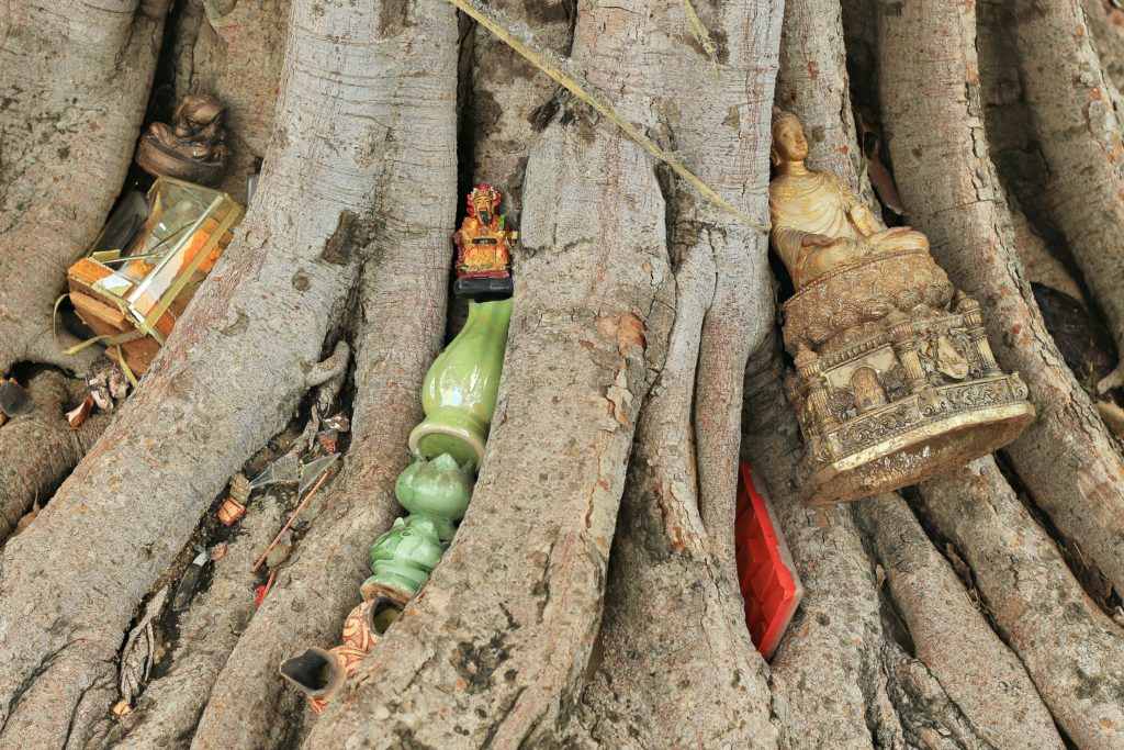 buddhafiguren im baum