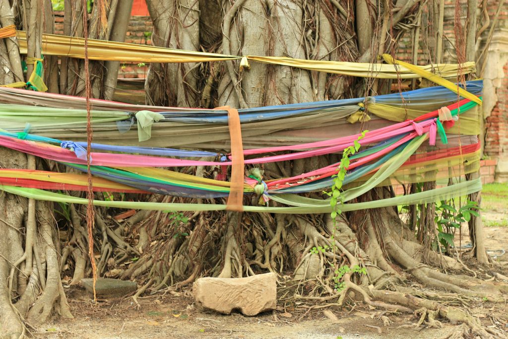 feigenbaum ayutthaya