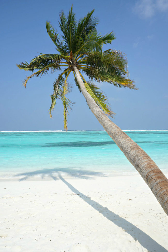 Strand Malediven