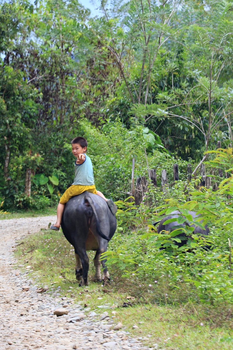Vang Vieng & Umgebung Tipps, Reisebericht, Bilder Travelcats